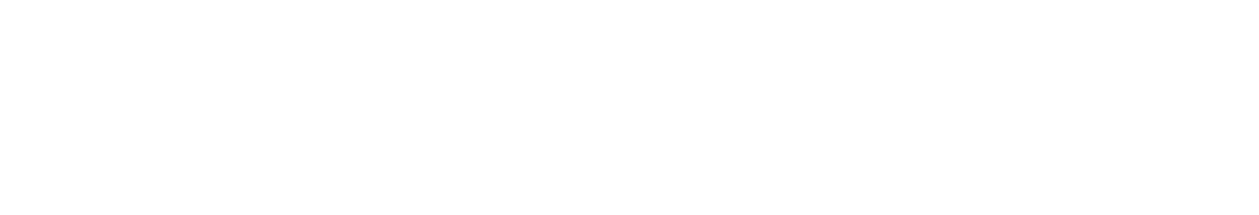 Pfister Group